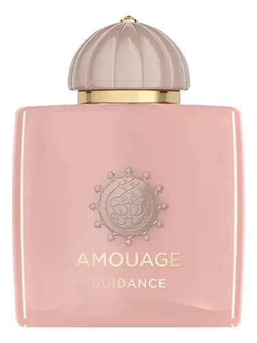 Amouage Guidance