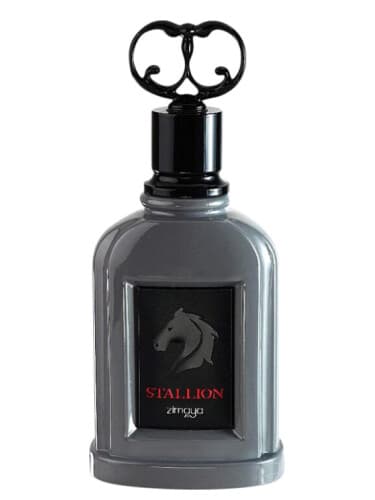 Zimaya Stallion