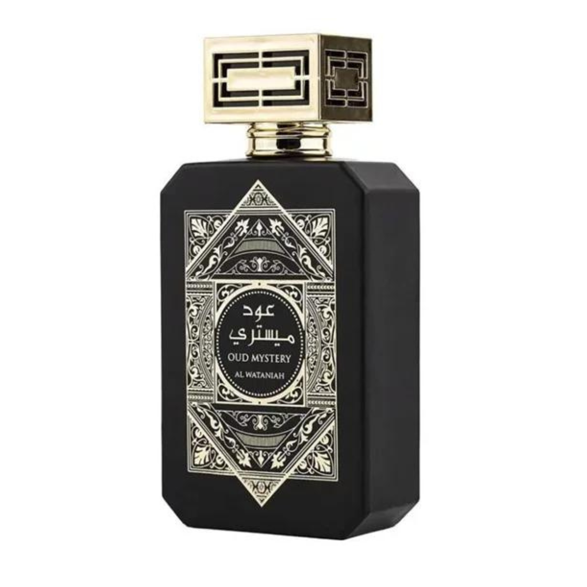 AL WATANIAH OUD MYSTERY EDP 100ML