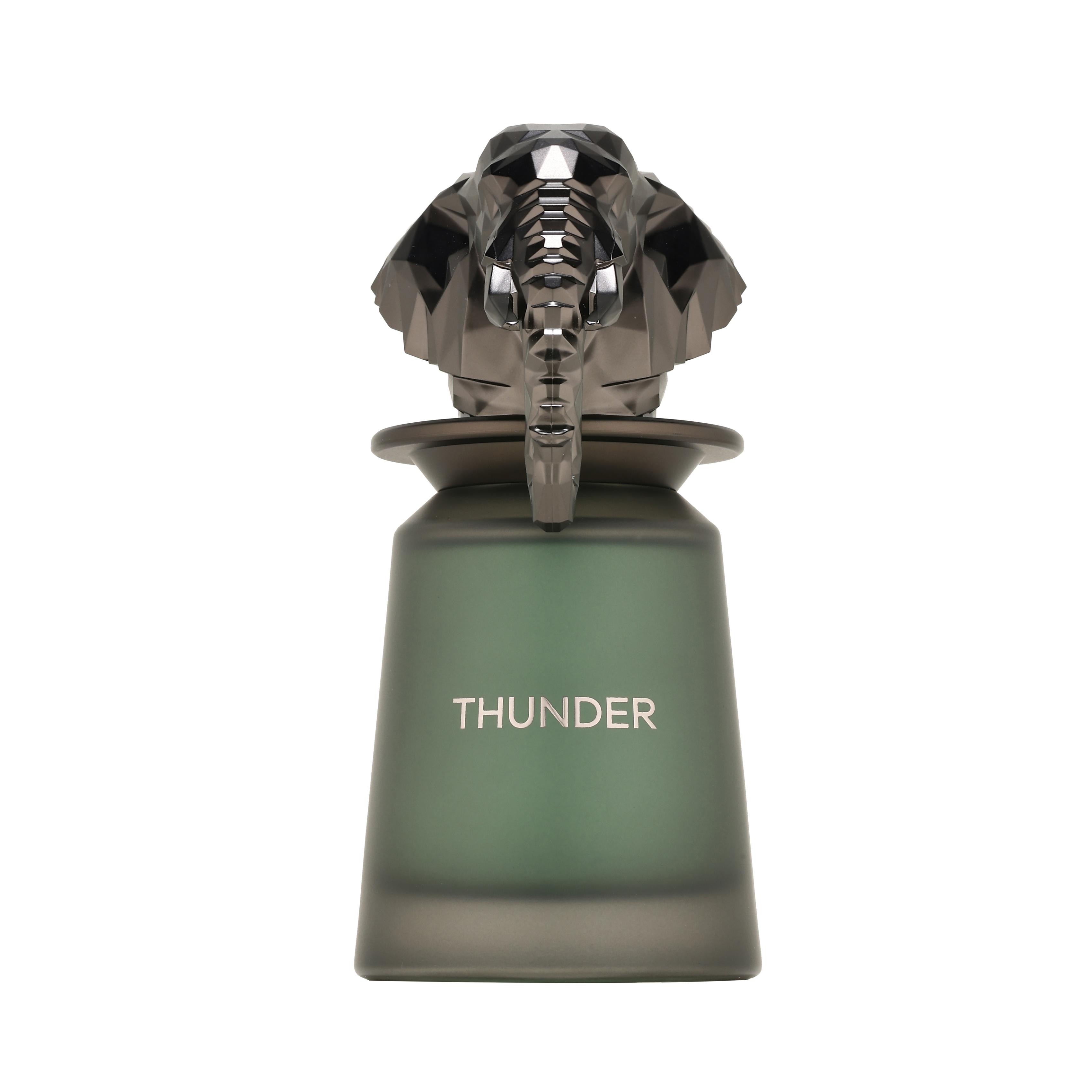 FRENCH AVENUE THUNDER EDP 100ML